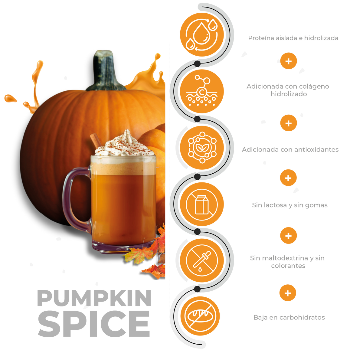 FITbody PRO Pumpkin Spice 100% Whey
