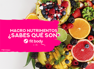 Macro nutrimentos ¿Sabes qué son? y ¿qué importancia tienen?