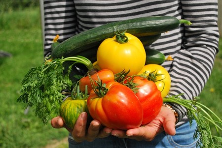 Alimentación saludable y sostenible
