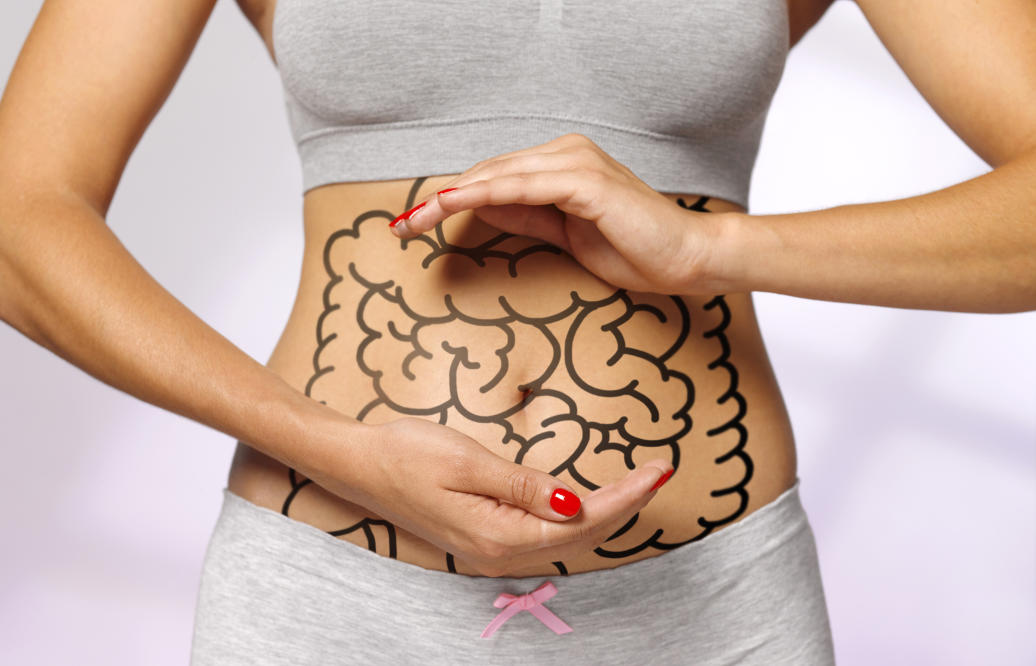 ¿Por qué son importantes las Enzimas Digestivas?