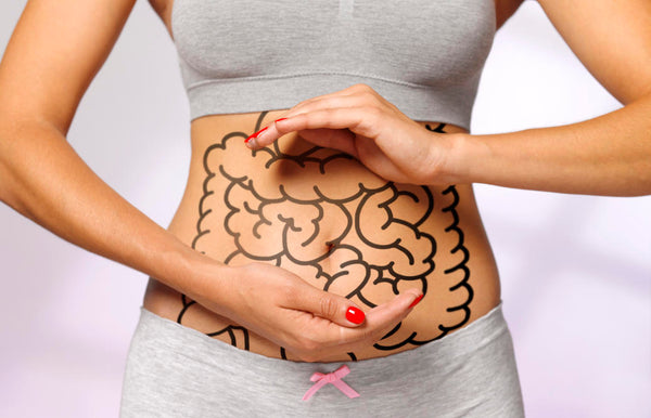 ¿Por qué son importantes las Enzimas Digestivas?