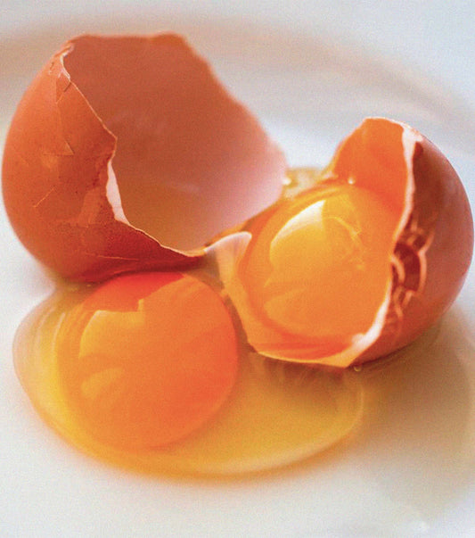 YEMA de huevo, ¿Realmente eleva niveles de COLESTEROL?  
