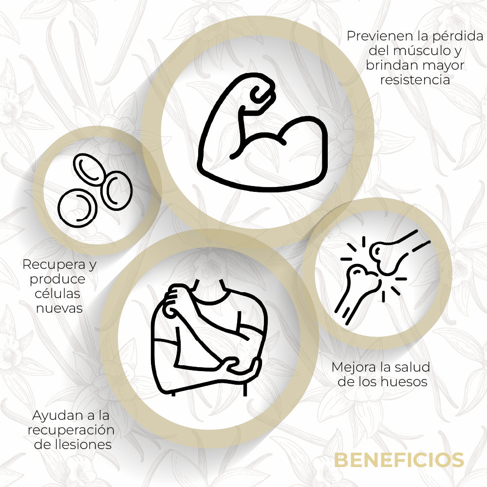 Proteína Fitbody PRO